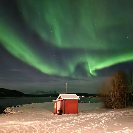 Ulvsvag Gjestgiveri Og Fjordcamping As Exteriör bild