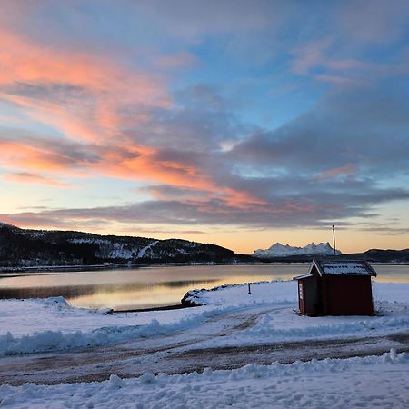 Ulvsvag Gjestgiveri Og Fjordcamping As Hotell Exteriör bild